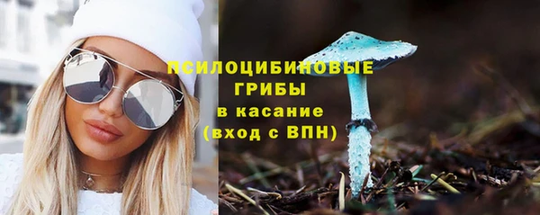 ECSTASY Армянск