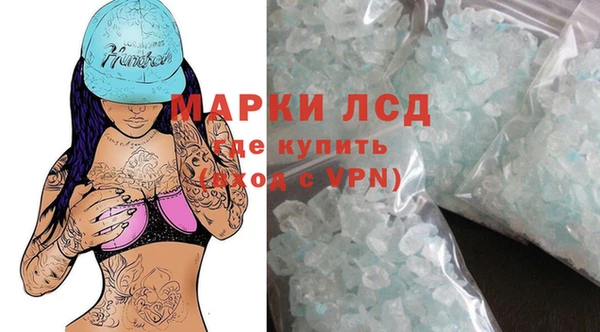 сатива Новозыбков