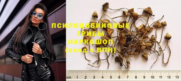 ECSTASY Армянск