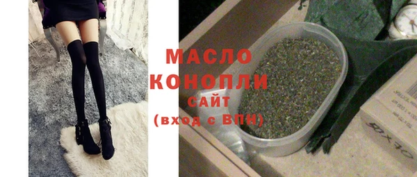 сатива Новозыбков